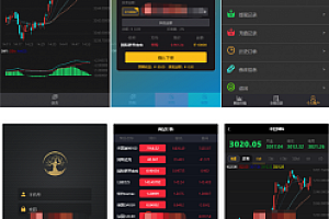 更新前后代理三段分离布局微盘时间盘完整数据+完美运行版源码