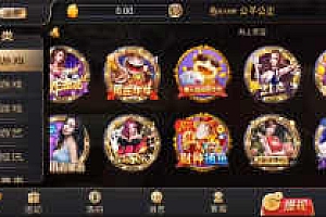 【源码】二开优化版NG银河 匹配最新2.0.8服务端/支付已接