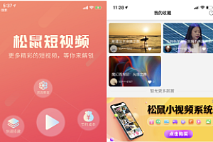 【独家修复】2020开源全新短视频系统源码/带APP双端源码/松鼠短视频