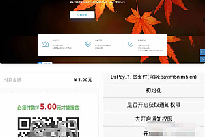 个码免签支付App监控无需输入金额+聚合支付后台源码