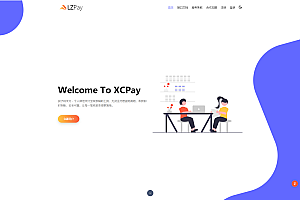 嘎嘎亲测–浪子Pay-码支付即时到账系统源码