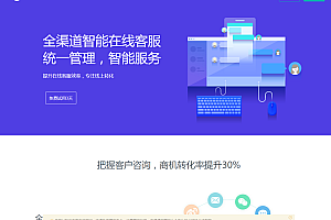 嘎嘎亲测–Ai智能客服系统在线客服网站源码_支持二十种语言源码下载