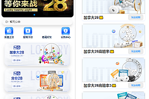嘎嘎亲测–首发加拿达28全套新旗舰版本源码带视频详细教程