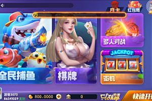 嘎嘎亲测–网狐728电玩城850电玩平台双解密工具带视频教程