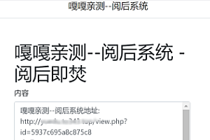 嘎嘎亲测–PHP写的阅后即焚平台源码